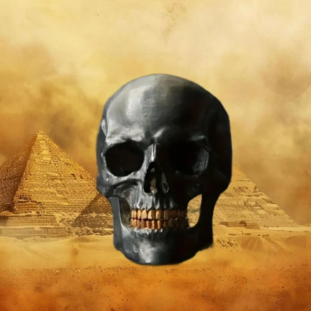 Men's Black Skull Gold Teeth Ring Size 10